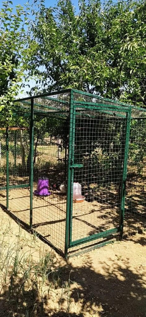 oztur-demir-dograma-fotograflar (7)